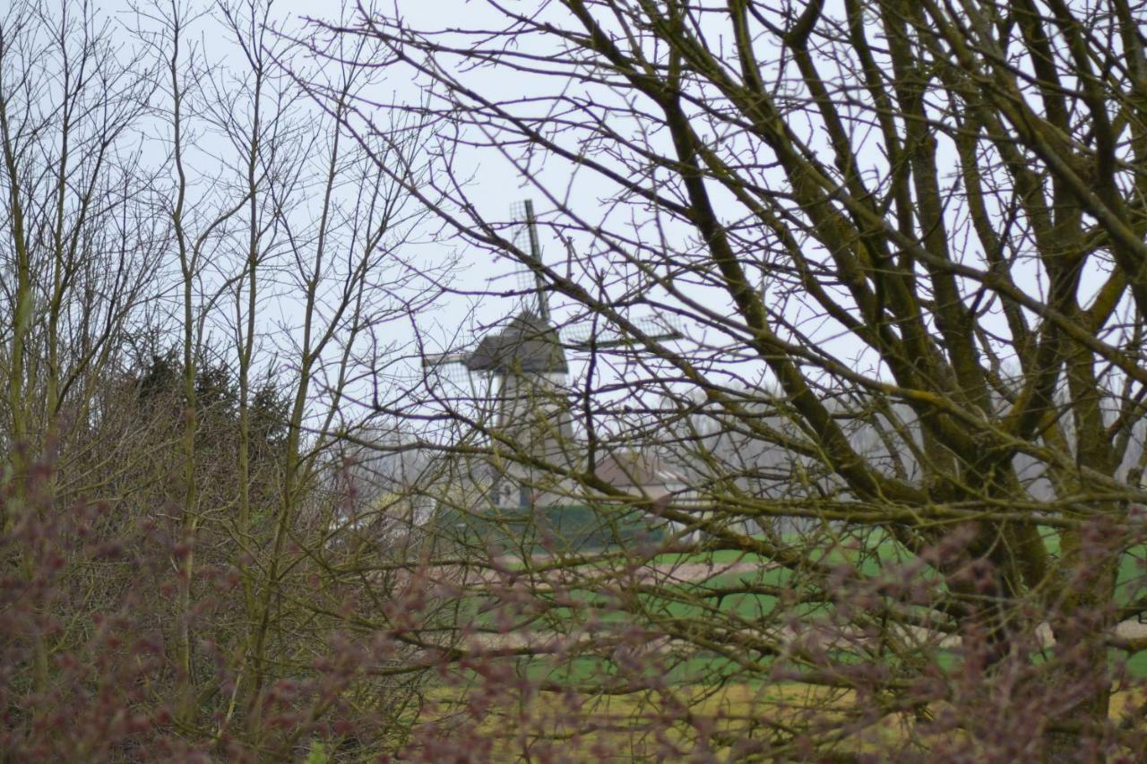 B&B Molenzicht Ninove Buitenkant foto