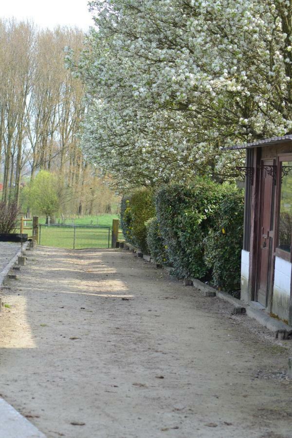 B&B Molenzicht Ninove Buitenkant foto