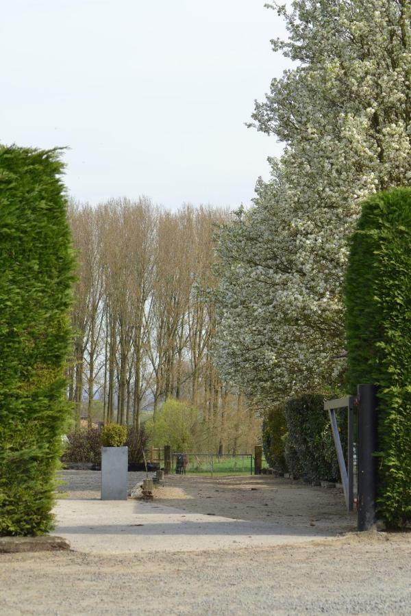 B&B Molenzicht Ninove Buitenkant foto